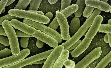 Co to są czynniki biologiczne w środowisku pracy?