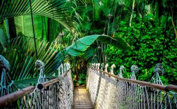 Jakie kursy kosmetyczne warto zrobić?